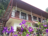 Athens Cottage 