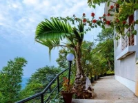Mist Inn Resort 3*