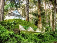 Ottamaram FarmHouse 
