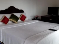 Hotel Sky Land Holidays 