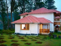 Tea county 