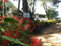 Tea Mount Serviced Villa 