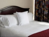 Airport Hotel Mayank Residency 