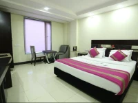 Hotel Raj villa 