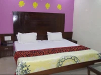 Saina International 