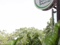 Saket Bed and Breakfast 