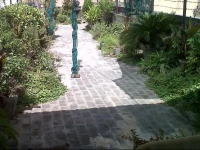 Wilson Homestay 