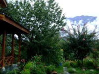 Treetops Cottage " Bangloo " 
