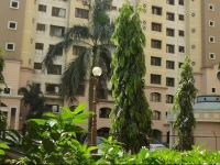 Astute Apartment 