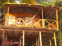 Rose Buds Camp