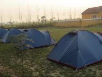 Thakran Farms 