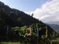 Cherry Village Homestay Resort 