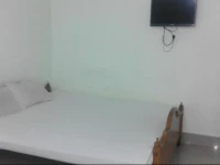 D2 Holiday Inn 
