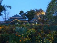 Orchard Pushkar 