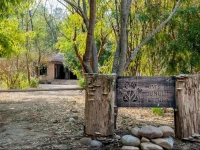 Jims Jungle Retreat 