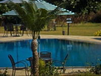 The Golden Tusk 4*