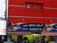 Hotel New Raj Residency 