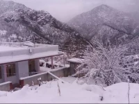 Himalaya Guest House 