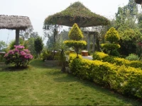 Damsang Guest House 