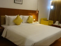 Cj Pallazzio Hotel 