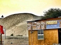 Camp Paradise 