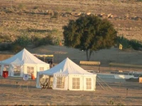 Desert Camel Safari 