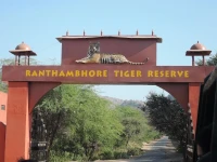 Ranthambore jungle cave 