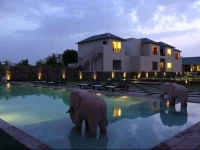 Ranthambhore Kothi 4*