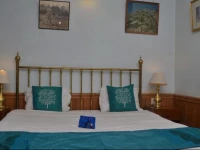 OYO Premium Heritage Palace Shimla 