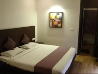 Saluja Residency New Amber Bar & Restraurant 