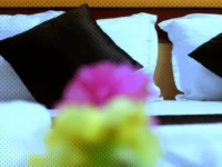 Hotel Vinayak Inn 