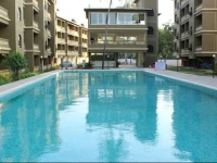 Humble Bee Resort 