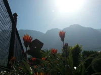 Honey Dew Guest House 2*