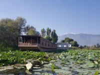Kings Houseboats 