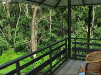 The Woods Resorts Wayanad 