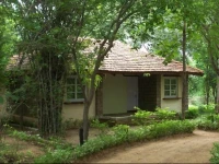 Tiger Trails Resort 