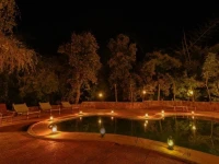 Bandhavgarh Meadows 