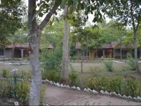 Mogli Jungle Resort Bandhavgarh 
