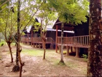 Hornbill Camp 