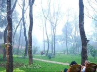 Greenwoods Resort 