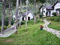 Niraamaya Retreats Cardamom Club 