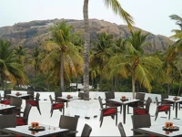 Jungle Stay Resort 