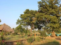 Ashok Tree Nature Resort 