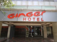 Ginger Thane 