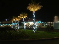 LuLu ICC And Garden Hotels 