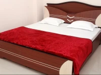 Jogmaya Service Apartment 
