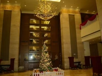 Hotel Ganga Palace 