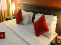 OYO Rooms Chapora Fort 