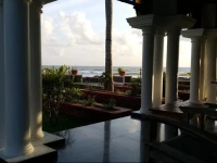 Palm Tree Bungalow 