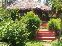 Palm Tree Natural Bungalow 